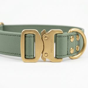Premium Matte Hardware Dog Collar