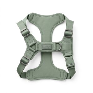 The Everyday Comfort Dog Harness | No-Pull Design